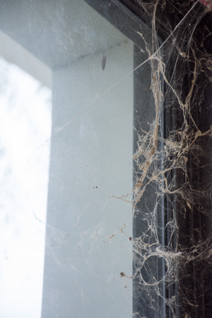 Triangle horror cobweb in the House Near the windowの写真素材