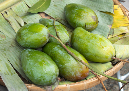 Mango from the garden, taste sweet, crisp.の写真素材