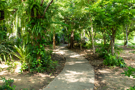 The park is in the shady tree cover.の写真素材