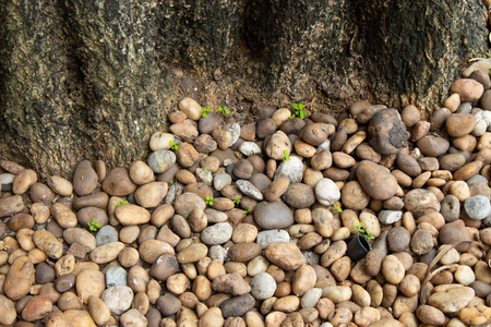Pebbles of use as a background.の写真素材