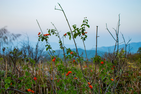 Light sunset behind the mountains Nern Chang Suek  hills, Kanchanaburi, Thailandの写真素材