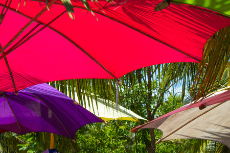 Colourful umbrellas Used as a background.の写真素材