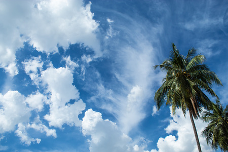 Beautiful cloudsの写真素材