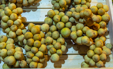 Lansium domesticum or Longkong is the Thai tropical fruitsの写真素材