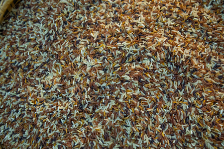 Various types of Rice Varietiesの写真素材