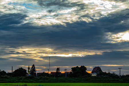 The sunset behind paddy fields and trees.の写真素材