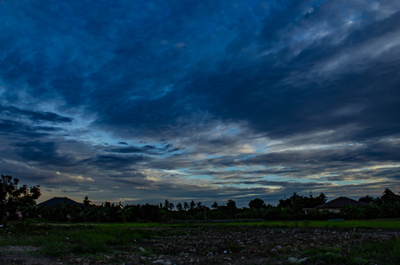 The sunset behind paddy fields and trees.の写真素材