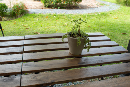 A small tree with the table for beauty.の写真素材