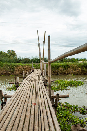 Bamboo bridge over the canal in orchard.の写真素材