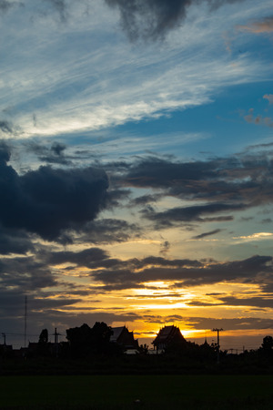 The sunset behind paddy fields and trees.の写真素材