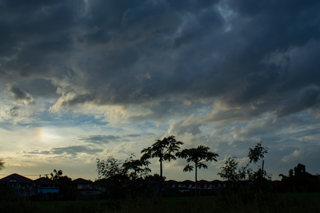 The beauty of the sky and trees.の写真素材