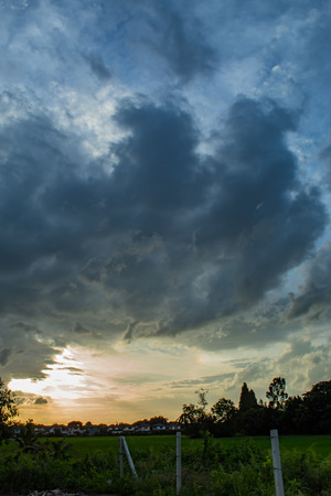 The beauty of the sky and trees.の写真素材