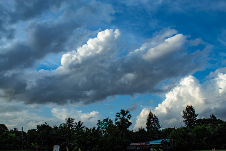 The beauty of the sky and trees.の写真素材