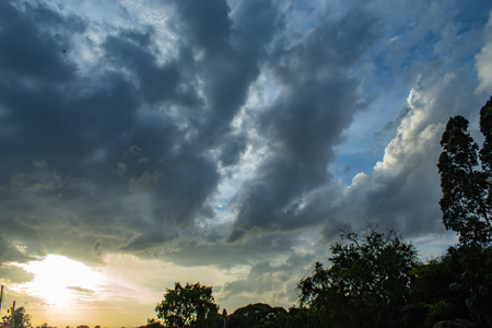 The beauty of the sky and trees.の写真素材