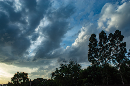 The beauty of the sky and trees.の写真素材