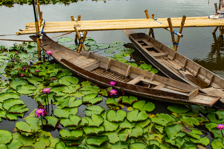 Wooden boat In the pink lotus ponds.の写真素材