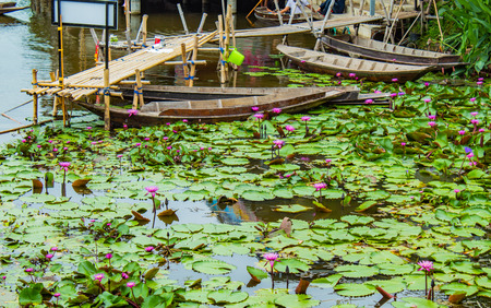 Wooden boat In the pink lotus ponds.の写真素材