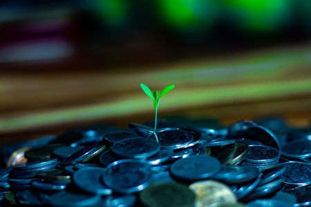 Many coins on a wooden tableの写真素材