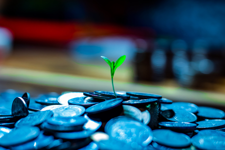 Many coins on a wooden tableの写真素材