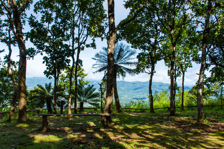 Point seat stay on the mountain at  Sai Thong National Park Thailand.の写真素材