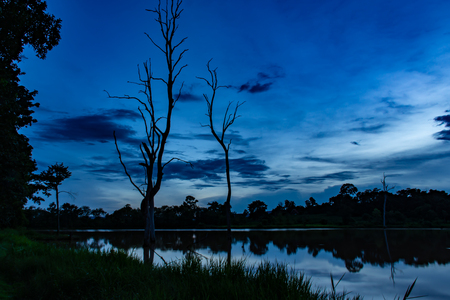The evening sun light reflection in pondの写真素材
