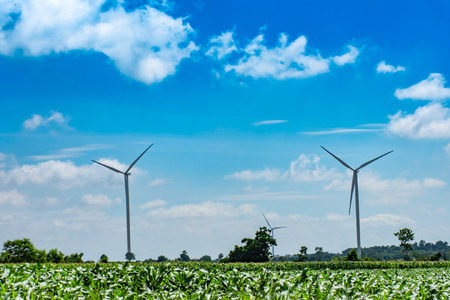 Wind turbines generate electricity on the corn field at Chaiyaphum in Thailand.の写真素材