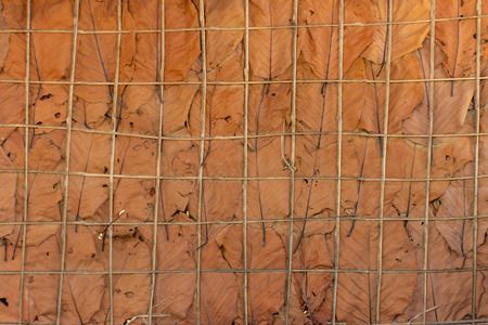 The walls are made of dried leaves Used as background.の写真素材