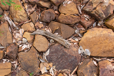 The dried leaves and twigs on the stones.の写真素材