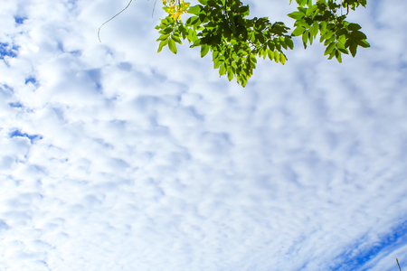 The beauty of the sky with clouds, and the sun.の写真素材