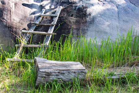 Wood on the grass background as the stones.の写真素材