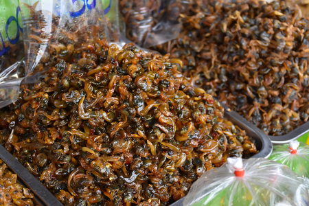 The snails spicy flavorsÂ Seafood Processing.の写真素材