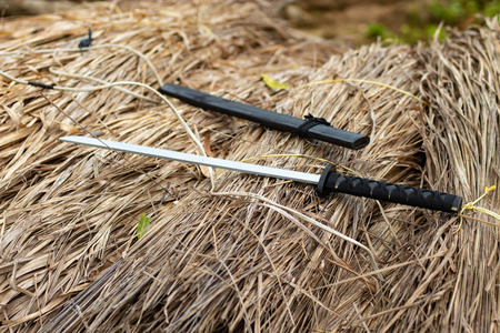 A wooden sword on the strawの写真素材