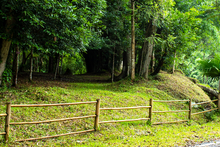 Fence bamboo walking the Si Dit waterfall , Phetchabun in Thailand.の写真素材