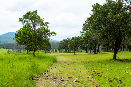 Tourists in meadow at Thung Salaeng Luang , Phetchabun in Thailand.の写真素材
