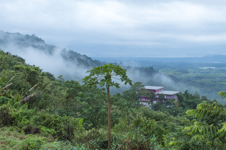 Morning Mist on the Mountain at Phetchabun in Thailand.の写真素材