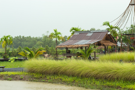 A wooden shack thatched straw and zinc of the rain flows into the well.の写真素材