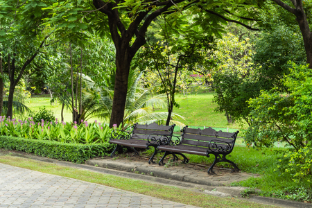 Chairs on the lawn in the park.の写真素材