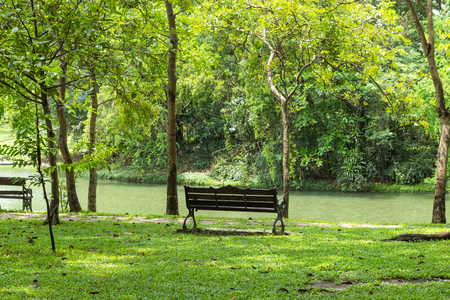 Chairs on the lawn in the park.の写真素材