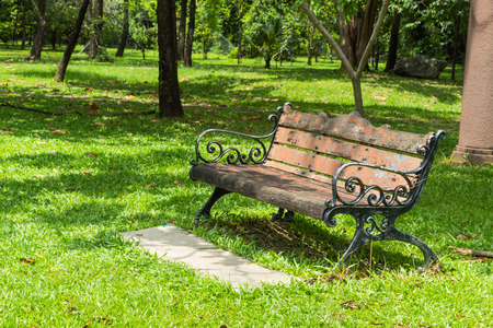 Chairs on the lawn in the park.の写真素材