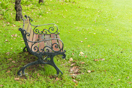 Chairs on the lawn in the park.の写真素材