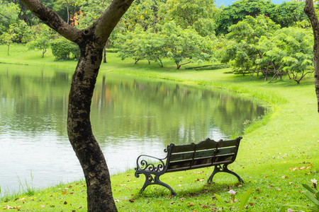 Chairs on the lawn in the park.の写真素材