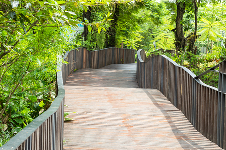 Wooden bridges and trees. In a public park.の写真素材