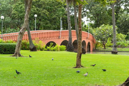 Concrete bridge crossing the pond In a public park.の写真素材