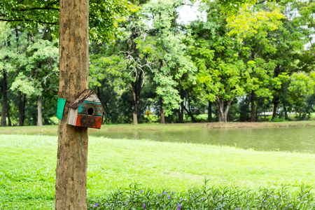 Wooden houses for the birds on tree in the park.の写真素材
