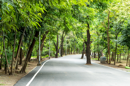 The road for running in the park with lots of treesの写真素材