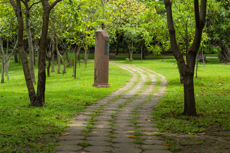 Cement block floor a walk on the lawn.の写真素材
