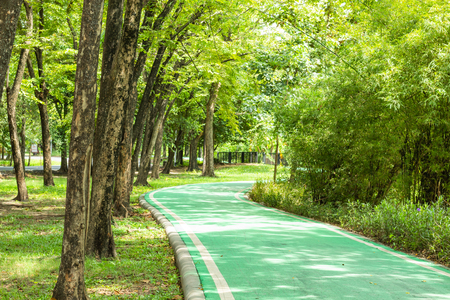 Green concrete road for bicycles and trees. In a public park.の写真素材