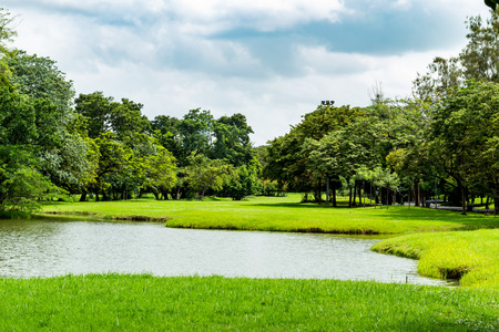 The pond and trees in the park.の写真素材