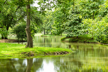The pond and trees in the park.の写真素材