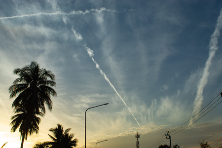 Beautiful mornings with light clouds and coconut trees.の写真素材